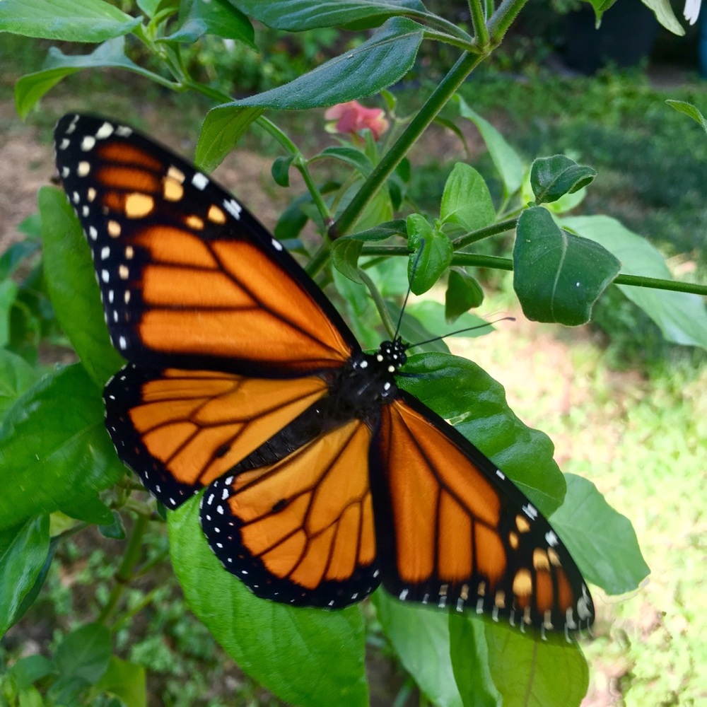 We are here to serve & spread God’s love. - Picture 9 of 15